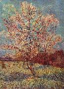 Vincent Van Gogh Bluhender Pfirsischbaum oil